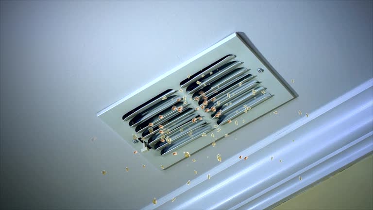 Best Best Air Duct Cleaning Company  in Rden City, GA