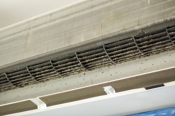 Best Home Air Vent Cleaning  in Rden City, GA