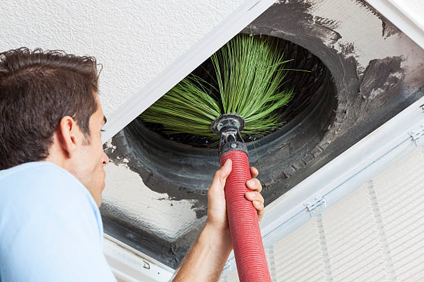 Best Air Vent Cleaning Services  in Rden City, GA